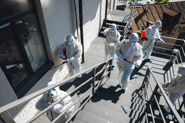 Best Biohazard Mold Removal  in Lake Park, IA