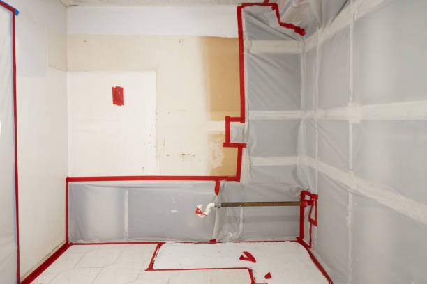 Best Forensic Mold Investigation  in Lake Park, IA