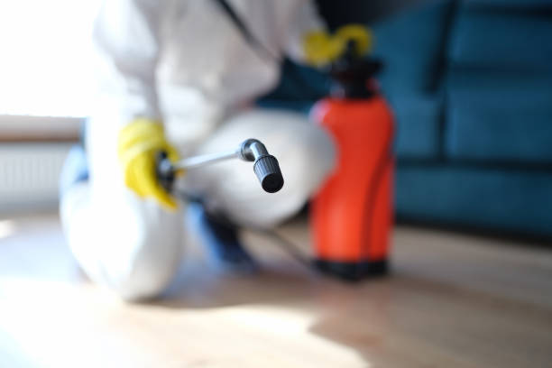 Best Comprehensive Air Testing for Mold Contaminants  in Lake Park, IA